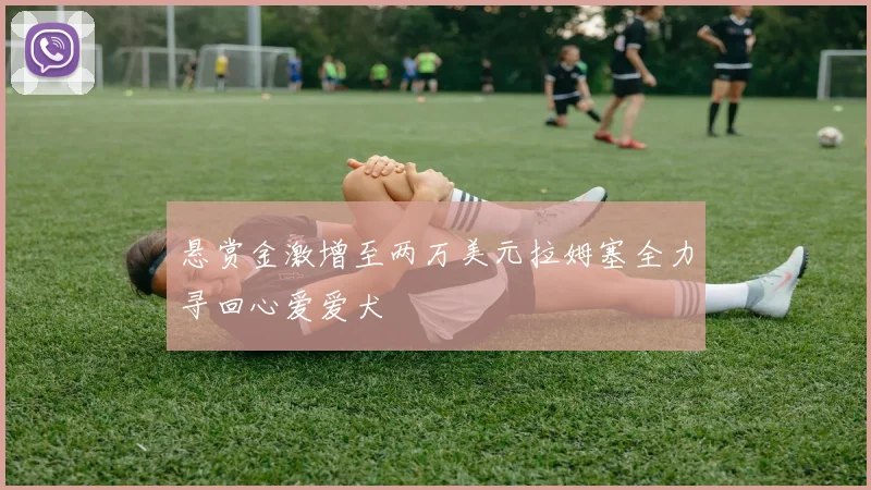 悬赏金激增至两万美元拉姆塞全力寻回心爱爱犬