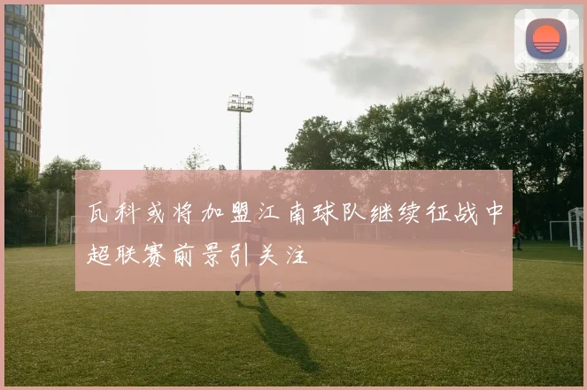 瓦科或将加盟江南球队继续征战中超联赛前景引关注